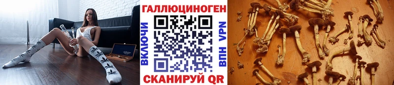 Псилоцибиновые грибы прущие грибы  Купить где  Волжский 